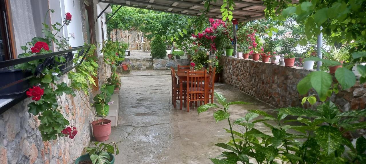 Roleo Guest House Lini Exterior foto